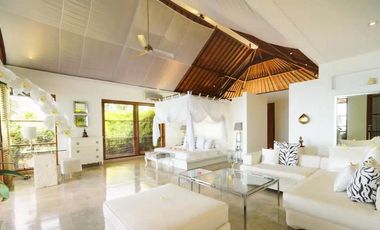 LUXURY VILLAS CLIFT FRONT AT KARANGASEM