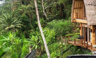 PRIVATE VILLA DENGAN VIEW PADI DAN GUNUNG AGUNG