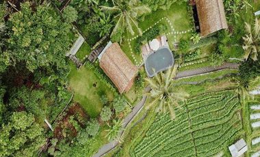 PRIVATE VILLA DENGAN VIEW PADI DAN GUNUNG AGUNG