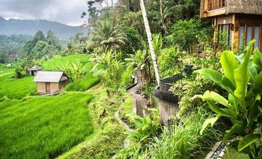 PRIVATE VILLA DENGAN VIEW PADI DAN GUNUNG AGUNG