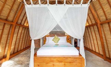 PRIVATE VILLA DENGAN VIEW PADI DAN GUNUNG AGUNG