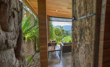 PRIVATE VILLA DENGAN VIEW PADI DAN GUNUNG AGUNG