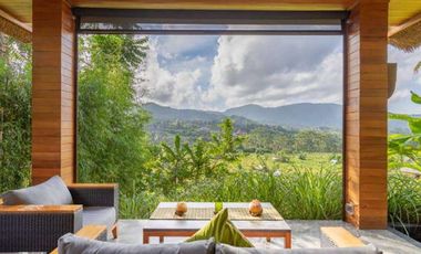 PRIVATE VILLA DENGAN VIEW PADI DAN GUNUNG AGUNG