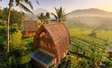 PRIVATE VILLA DENGAN VIEW PADI DAN GUNUNG AGUNG