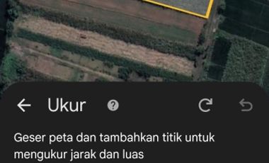 jual tanah murah bagus untuk segala  usaha gudang,pabrik Toko galangan ,  .bengkel di jalan raya Mojowarno - Mojoagung