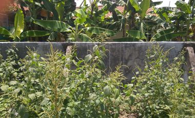 Butuh Uang, Jual rumah pojok, SHM, dekat pabrik, diLegundi, Kab Gresik