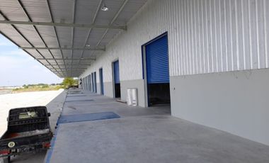 Disewakan 4000-18000m gudang baru di jalan baru karawang barat