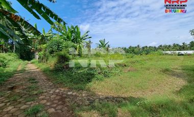 Dijual Tanah Murah Siap Bangun Under 100 juta di Klatak - Kalipuro