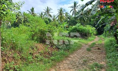 Dijual Tanah Murah Siap Bangun Under 100 juta di Klatak - Kalipuro