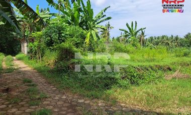 Dijual Tanah Murah Siap Bangun Under 100 juta di Klatak - Kalipuro