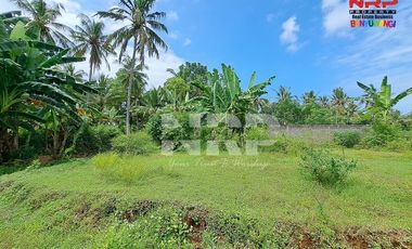 Dijual Tanah Murah Siap Bangun Under 100 juta di Klatak - Kalipuro