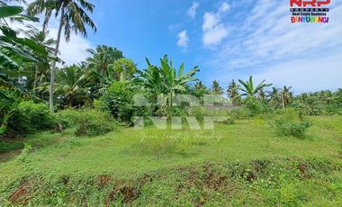 Dijual Tanah Murah Siap Bangun Under 100 juta di Klatak - Kalipuro