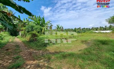 Dijual Tanah Murah Siap Bangun Under 100 juta di Klatak - Kalipuro