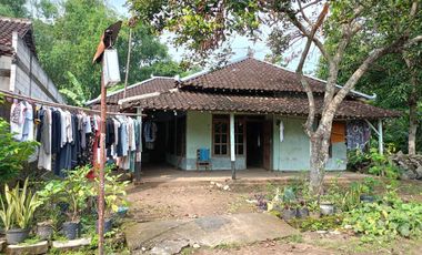 Tanah Luas Murah Bonus Bangunan Rumah Cocok untuk Usaha Peternakan