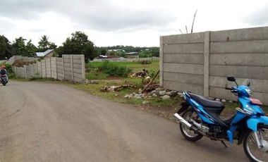 Trn harga jl Hombes Pakkatto Gowa Sulawesi Selatan  LT 9.792