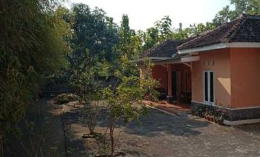 DIJUAL TANAH BERIKUT RUMAH KIOS DAN KOLAM IKAN LOKASI YOGYAKARTA