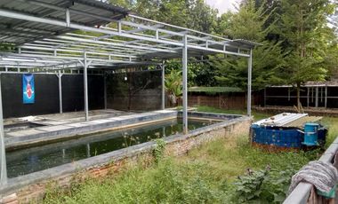 DIJUAL TANAH BERIKUT RUMAH KIOS DAN KOLAM IKAN LOKASI YOGYAKARTA