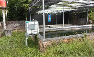 DIJUAL TANAH BERIKUT RUMAH KIOS DAN KOLAM IKAN LOKASI YOGYAKARTA