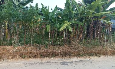 Dijual tanah siap bangun di jalan Malaka 3 Mangkunegara Bukit Sangkal