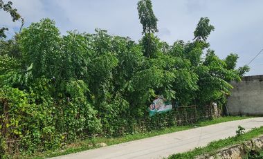 Tanah Darat Murah Cocok Buat Investasi