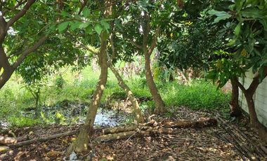 Tanah Darat Murah Cocok Buat Investasi