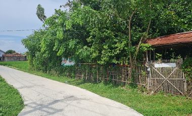 Tanah Darat Murah Cocok Buat Investasi