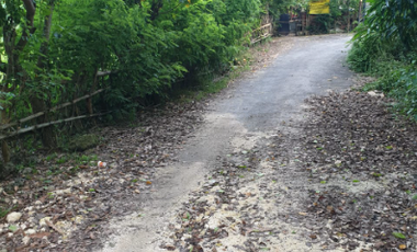 TANAH MURAH 5,6 HEKTAR DIBENOA KUTA SELATAN