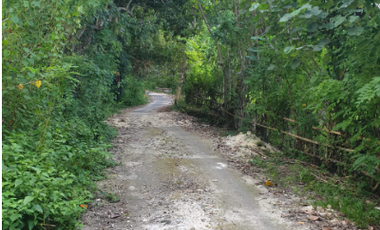 TANAH MURAH 5,6 HEKTAR DIBENOA KUTA SELATAN