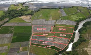 land for lease near beach at Bali tabanan  area