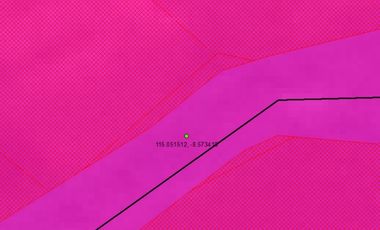 land for lease near beach at Bali tabanan  area