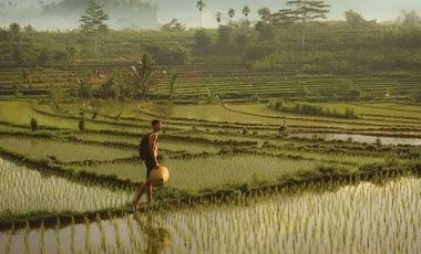 Rmh di BALI Pantai Jasry Karangasem LT1500M² LB 100M 2 Kmr 2 WC