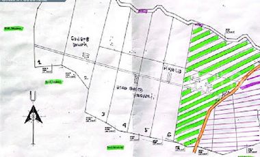 Lahan Komersial Mojokerto ex resort & Resto di Mojokerto 19 hektar