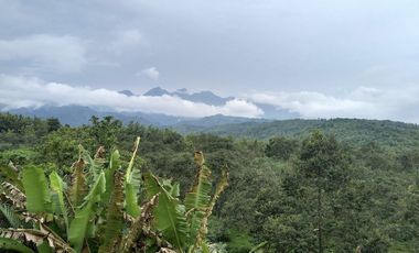 Lahan Komersial Mojokerto ex resort & Resto di Mojokerto 19 hektar