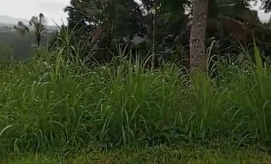 Land 1,2ha for Sale above Telaga Waja River Karangasem Bali