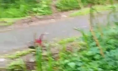 Land 1,2ha for Sale above Telaga Waja River Karangasem Bali