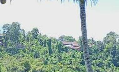 Land 1,2ha for Sale above Telaga Waja River Karangasem Bali