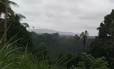 Land 1,2ha for Sale above Telaga Waja River Karangasem Bali