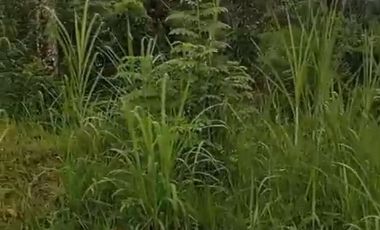 Land 1,2ha for Sale above Telaga Waja River Karangasem Bali