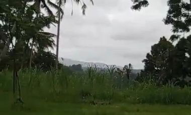 Land 1,2ha for Sale above Telaga Waja River Karangasem Bali
