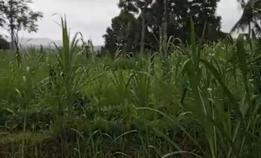 Land 1,2ha for Sale above Telaga Waja River Karangasem Bali