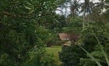 Land 1,2ha for Sale above Telaga Waja River Karangasem Bali