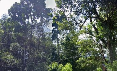 Land 1,2ha for Sale above Telaga Waja River Karangasem Bali