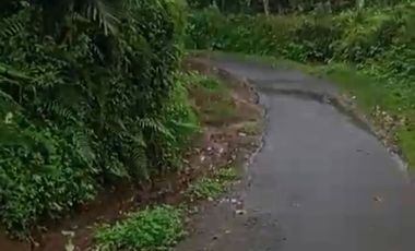 Land 1,2ha for Sale above Telaga Waja River Karangasem Bali