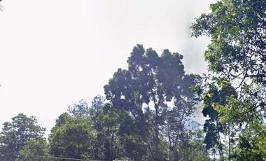 Land 1,2ha for Sale above Telaga Waja River Karangasem Bali