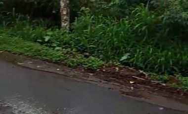 Land 1,2ha for Sale above Telaga Waja River Karangasem Bali
