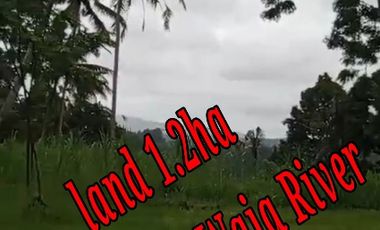Land 1,2ha for Sale above Telaga Waja River Karangasem Bali