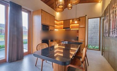 Villa Baru tropical modern minimalis view sawah di Ubud