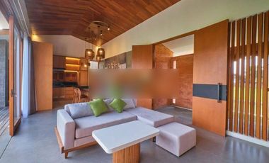 Villa Baru tropical modern minimalis view sawah di Ubud