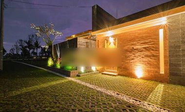 Villa Baru tropical modern minimalis view sawah di Ubud