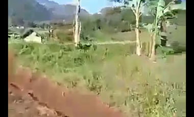 Tanah view pegunungan luas 10500 m2 di Trawas, Kabupaten  Mojokerto